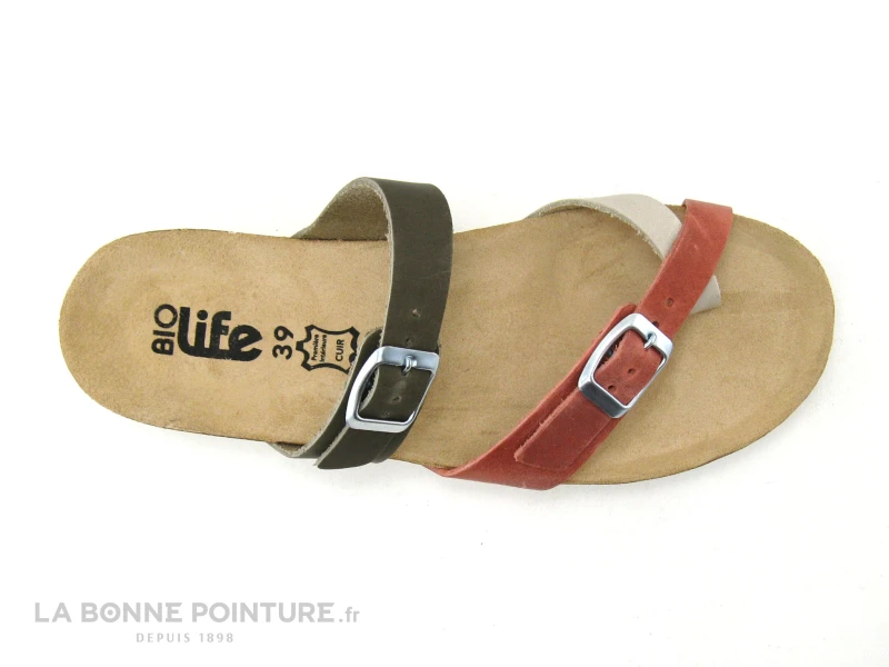 Bio Life 1934 964 Candy 05 Kaki - Rouge - Beige - Tong Femme 7 Bio Life 1934 964 Candy 05 Kaki - Rouge - Beige - Tong Femme – Image 5