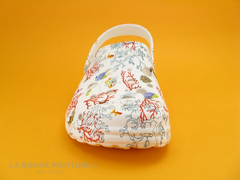 Woz Cheese Aquarium Mare 4 Woz Cheese Aquarium Mare – Image 2