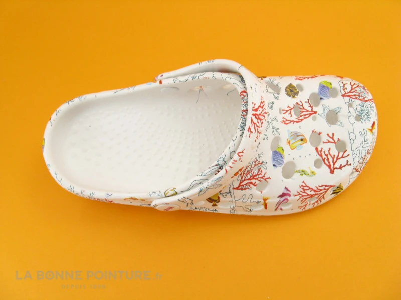 Woz Cheese Aquarium Mare 8 Woz Cheese Aquarium Mare – Image 6