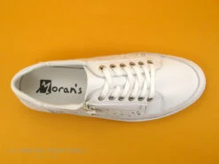 Morans KIPAR Blanc - Basket Mode Femme Cuir Blanc - Perforations 14 Morans KIPAR Blanc - Basket Mode Femme Cuir Blanc - Perforations -Chaussure Offre Boutique cd24607c73b9e66c561f35ea11d5d5ef img 5935.jpg 166685